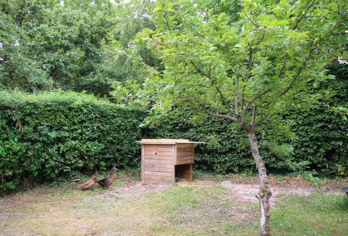 foto35