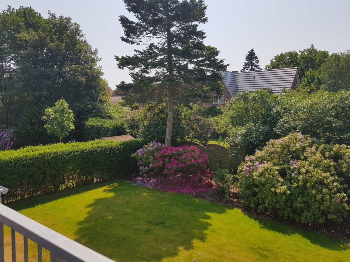 foto25