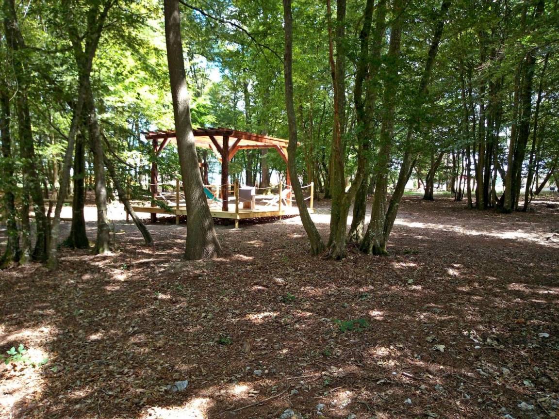 foto47