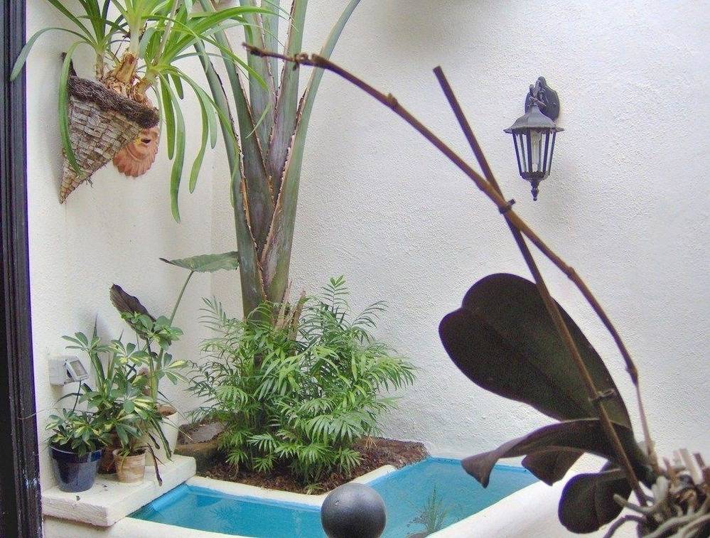 foto20