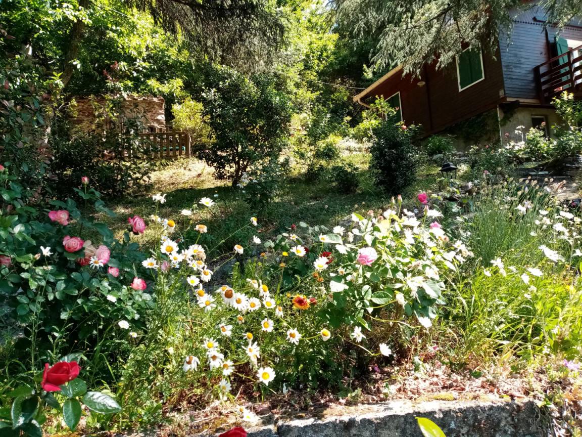 foto20