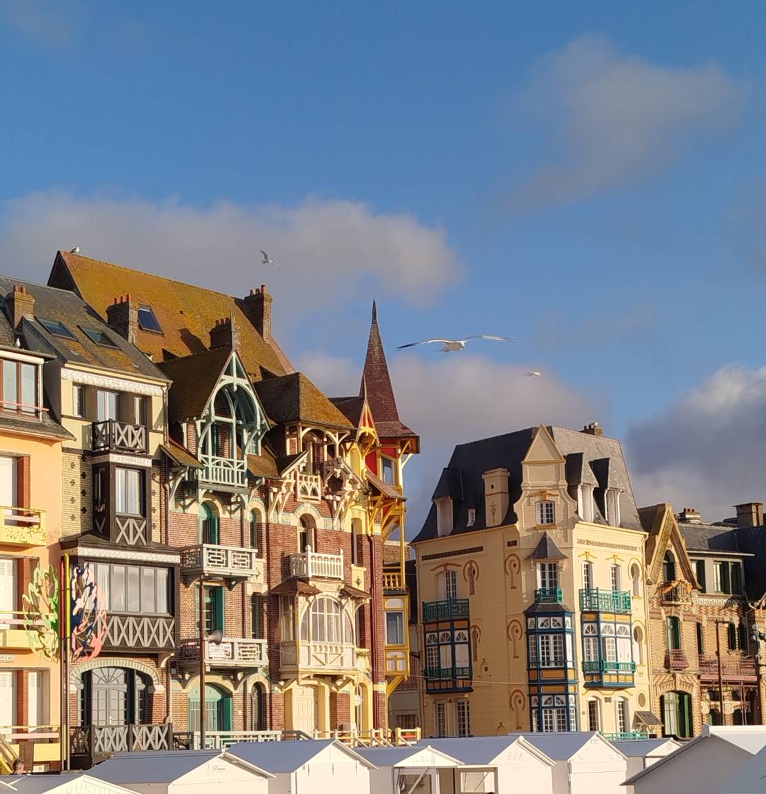 40 M² Appartement ∙ 1 Chambre ∙ 4 Personnes - Criel-sur-Mer