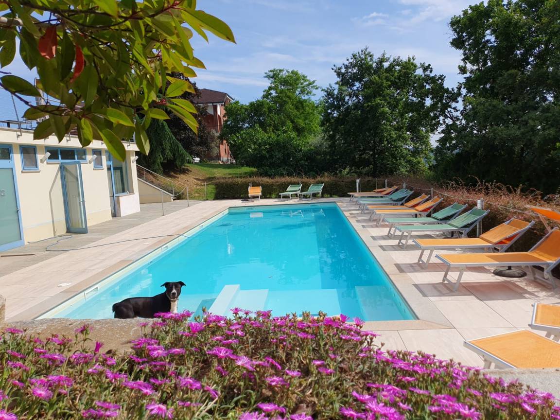 34 M² Agriturismo ∙ 1 Camera Da Letto ∙ 4 Ospiti - Piemonte