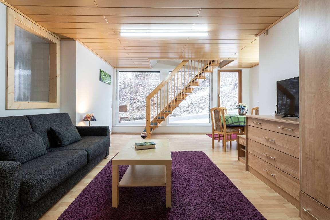 60 M² Appartement ∙ 1 Slaapkamer ∙ 4 Gasten - Oberwolfach