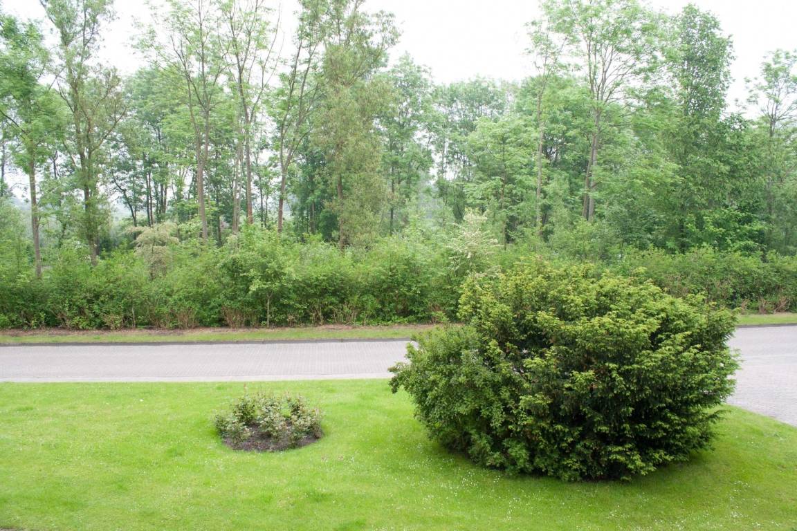 foto1