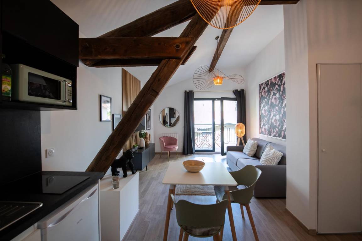 27 M² Appartement ∙ 1 Chambre ∙ 2 Personnes - Tassin-la-Demi-Lune