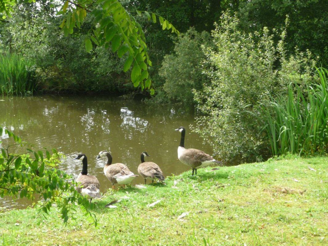 foto16