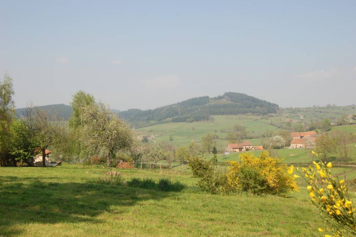 foto3
