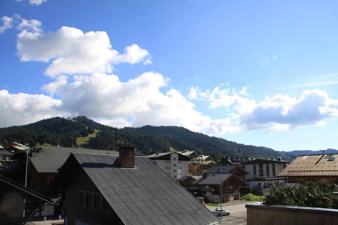 foto2