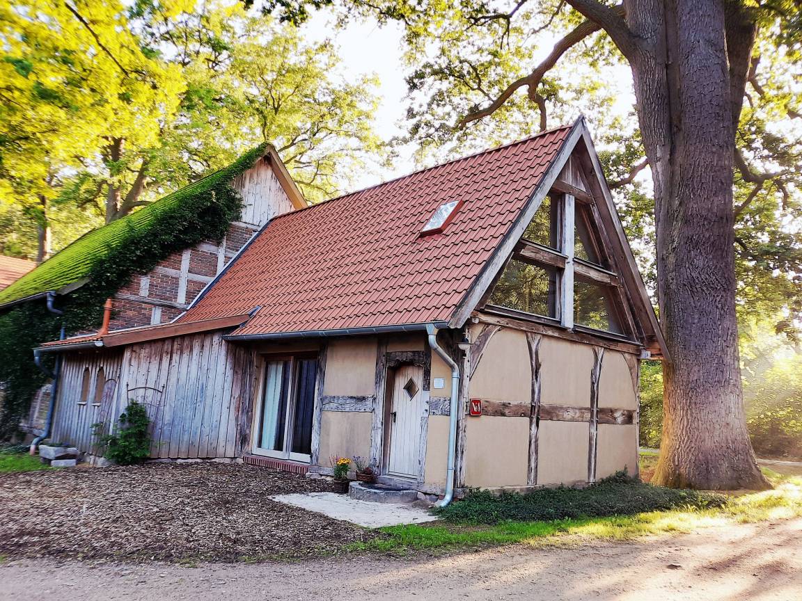 65 m² Ferienhaus ∙ 1 Schlafzimmer ∙ 2 Gäste – Bild 15