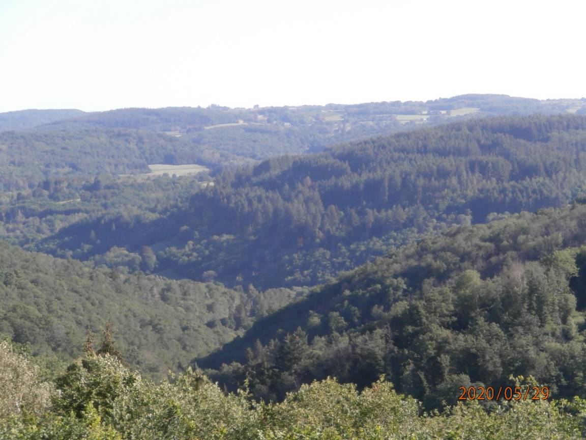 foto12