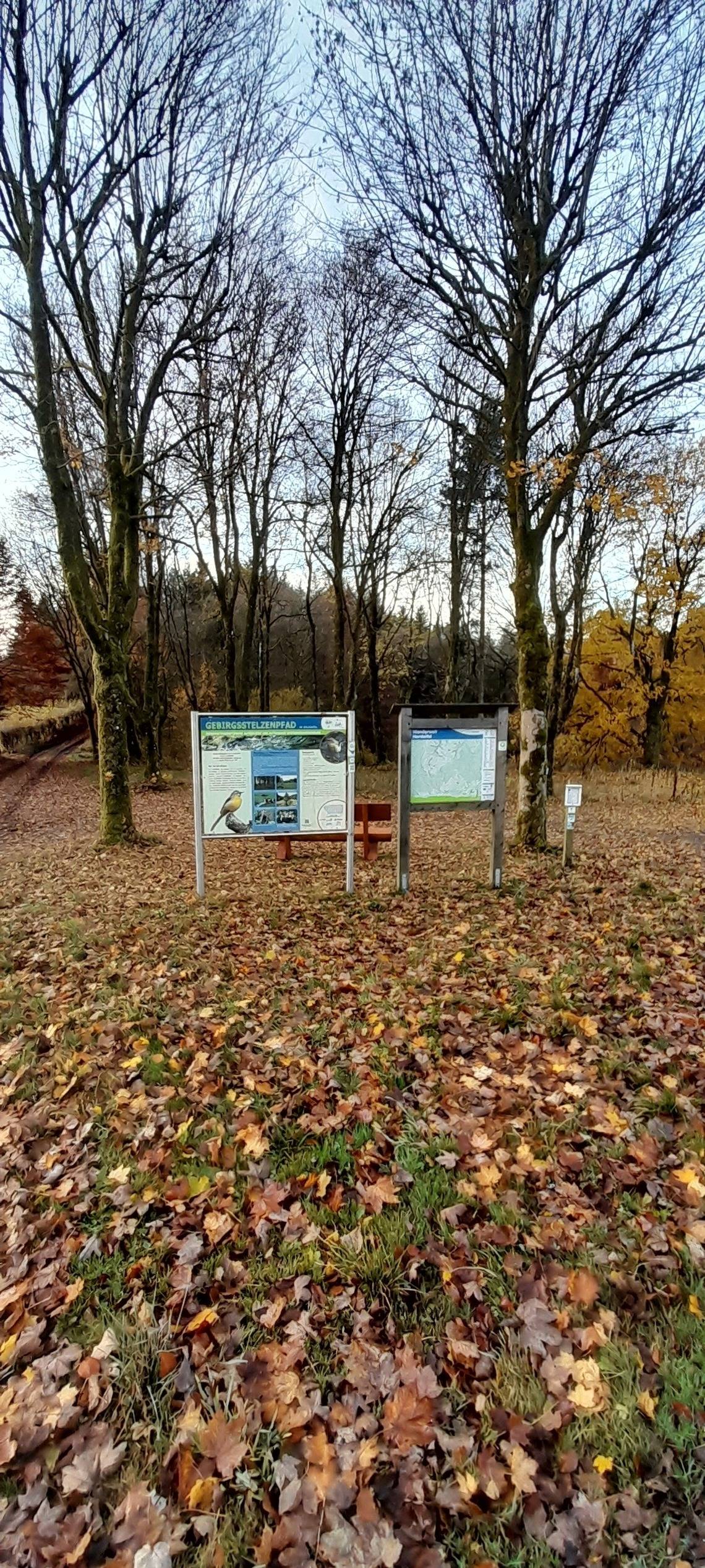foto33