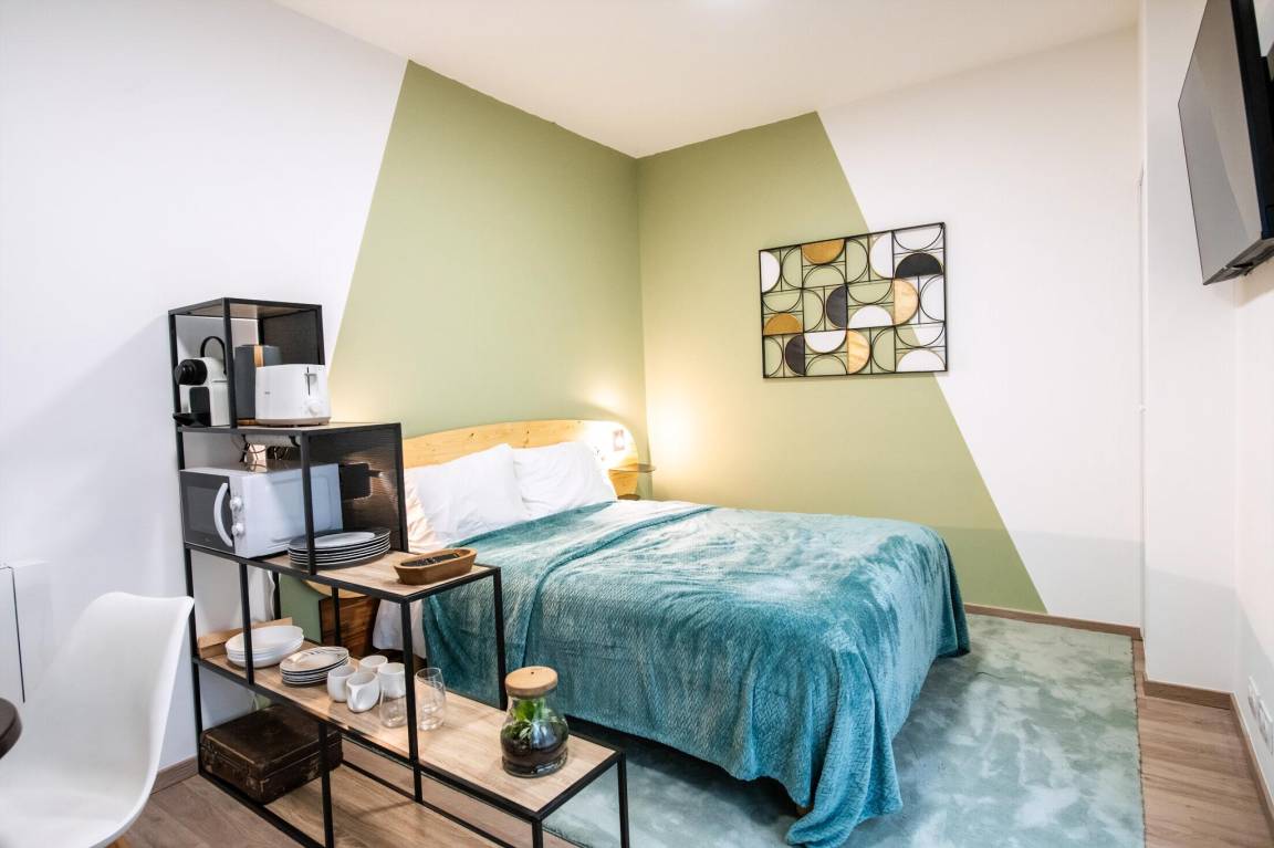 22 M² Appartement ∙ 1 Chambre ∙ 2 Personnes - Tassin-la-Demi-Lune