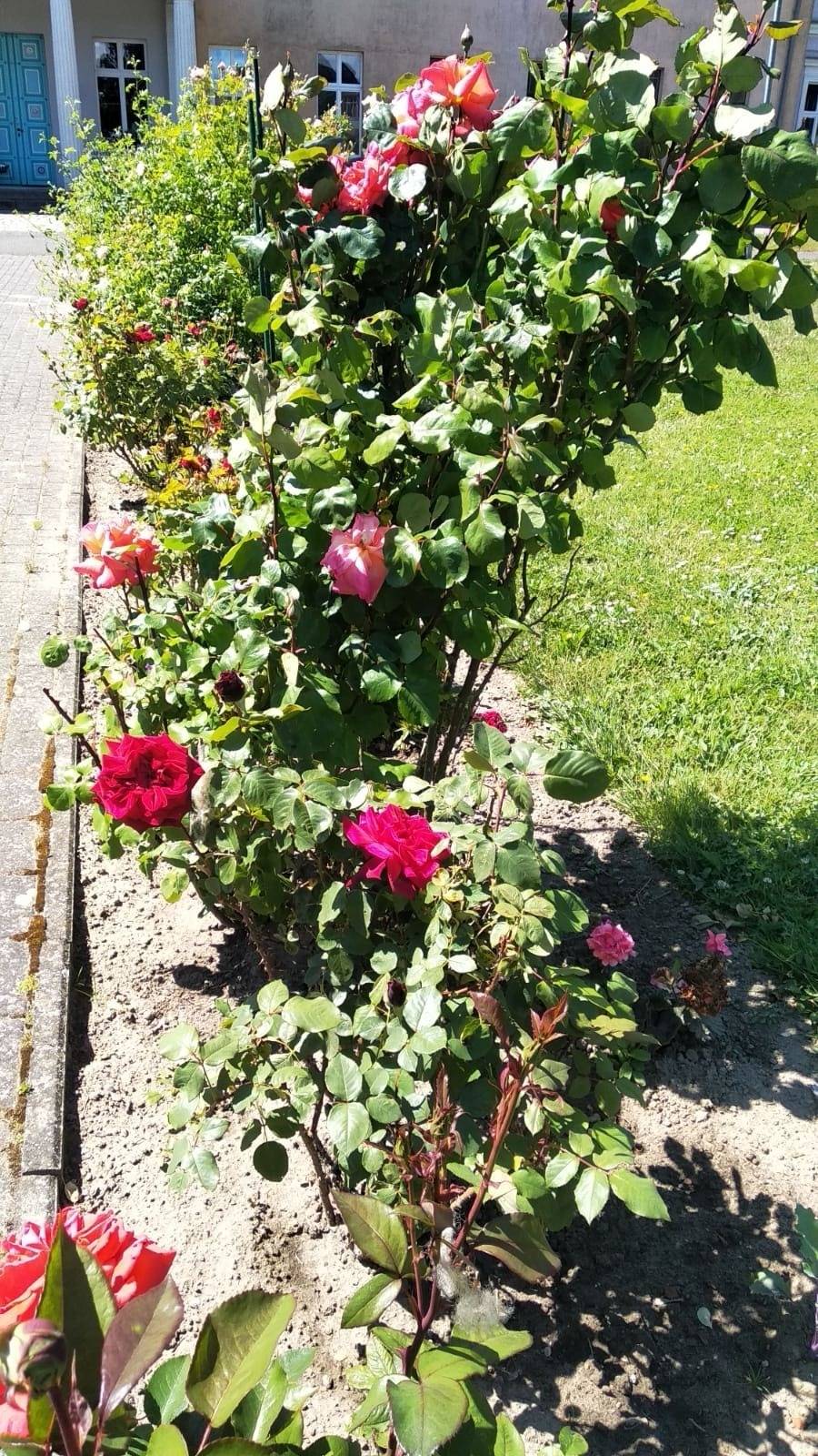 foto11