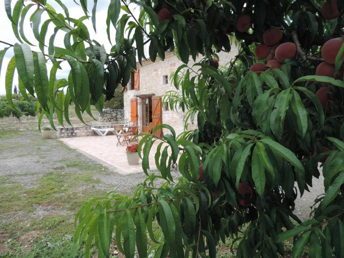 foto6