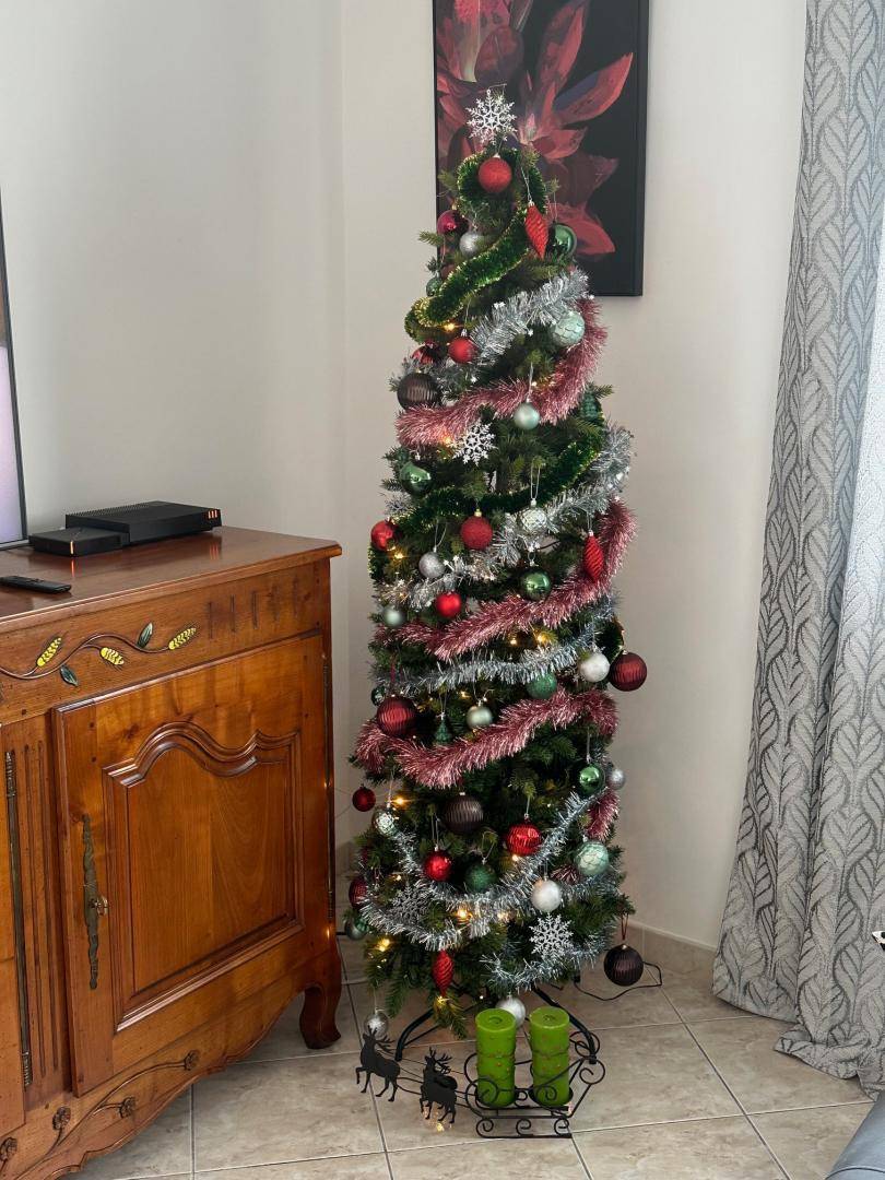 foto40