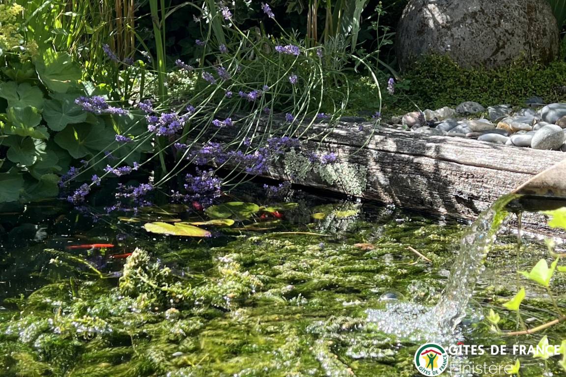 foto26
