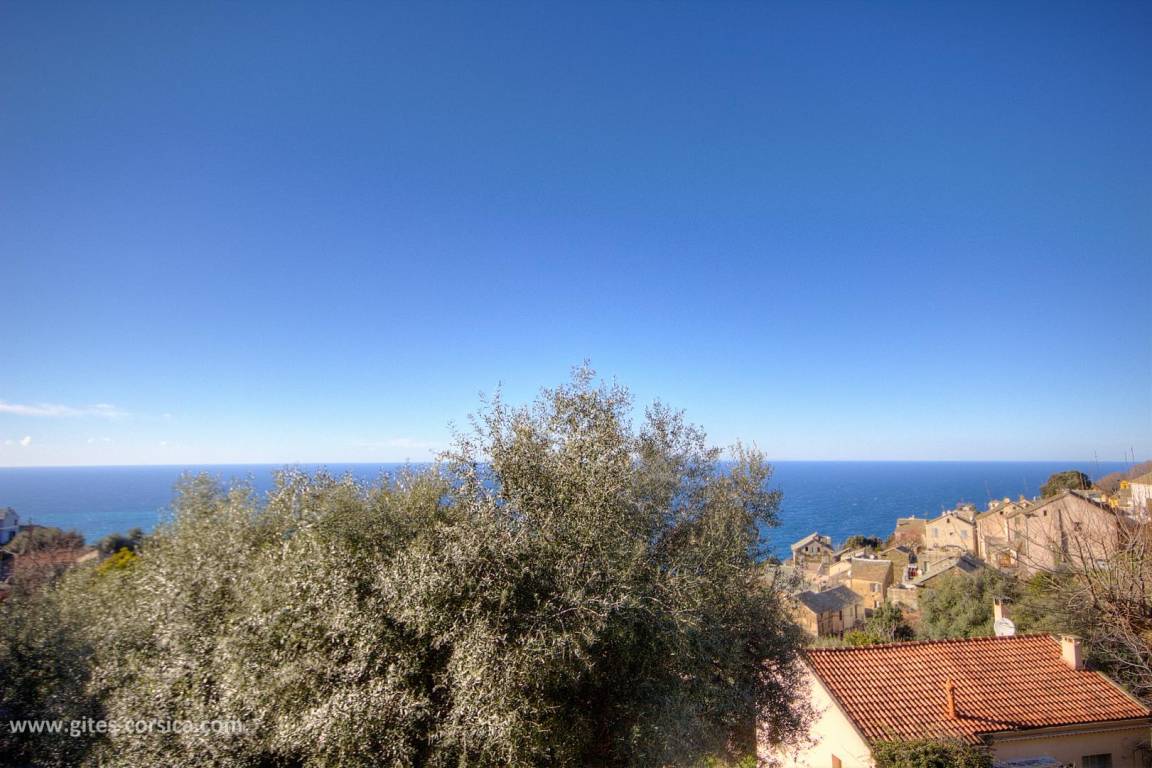 foto20
