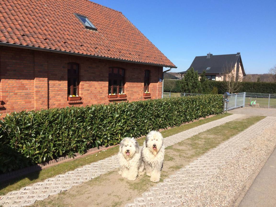 120 M² Ferienhaus ∙ 3 Schlafzimmer ∙ 8 Gäste - Waren (Müritz)
