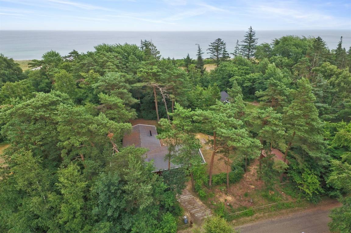 foto21