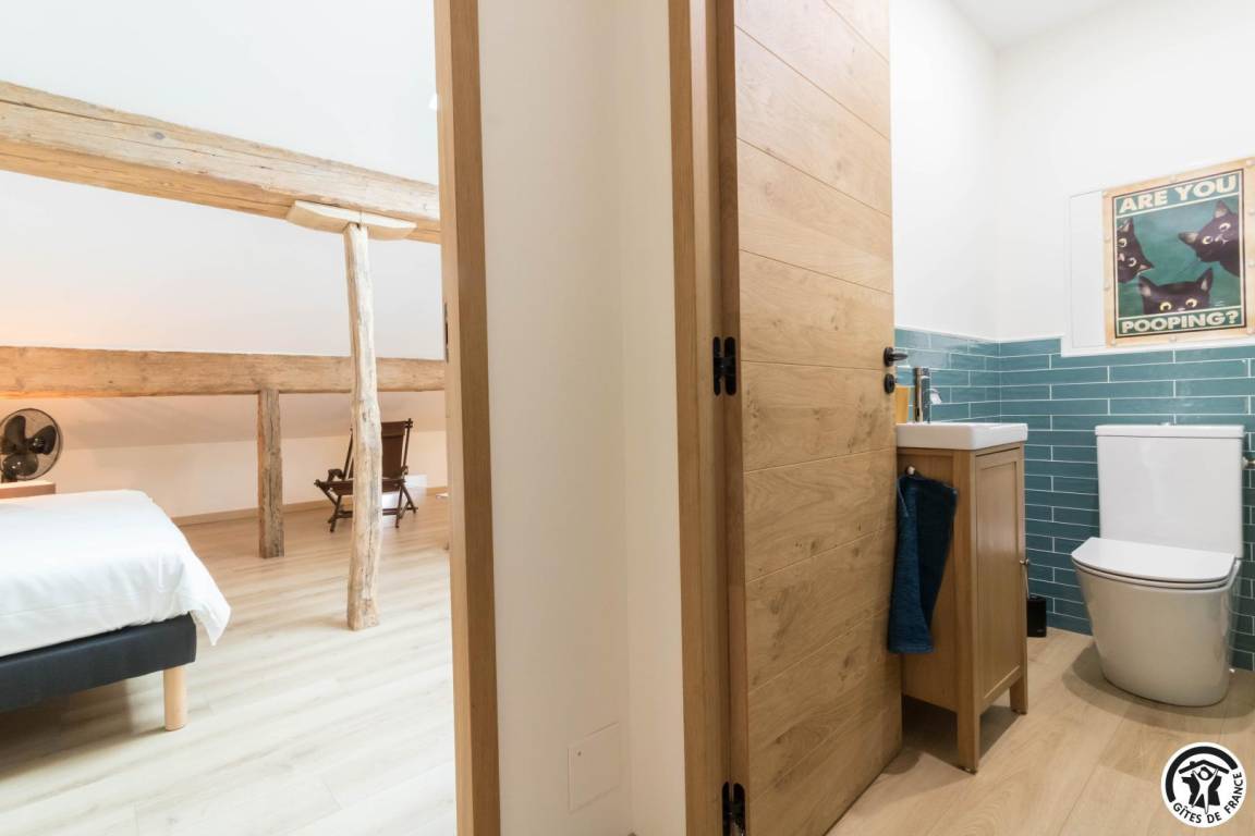 foto47