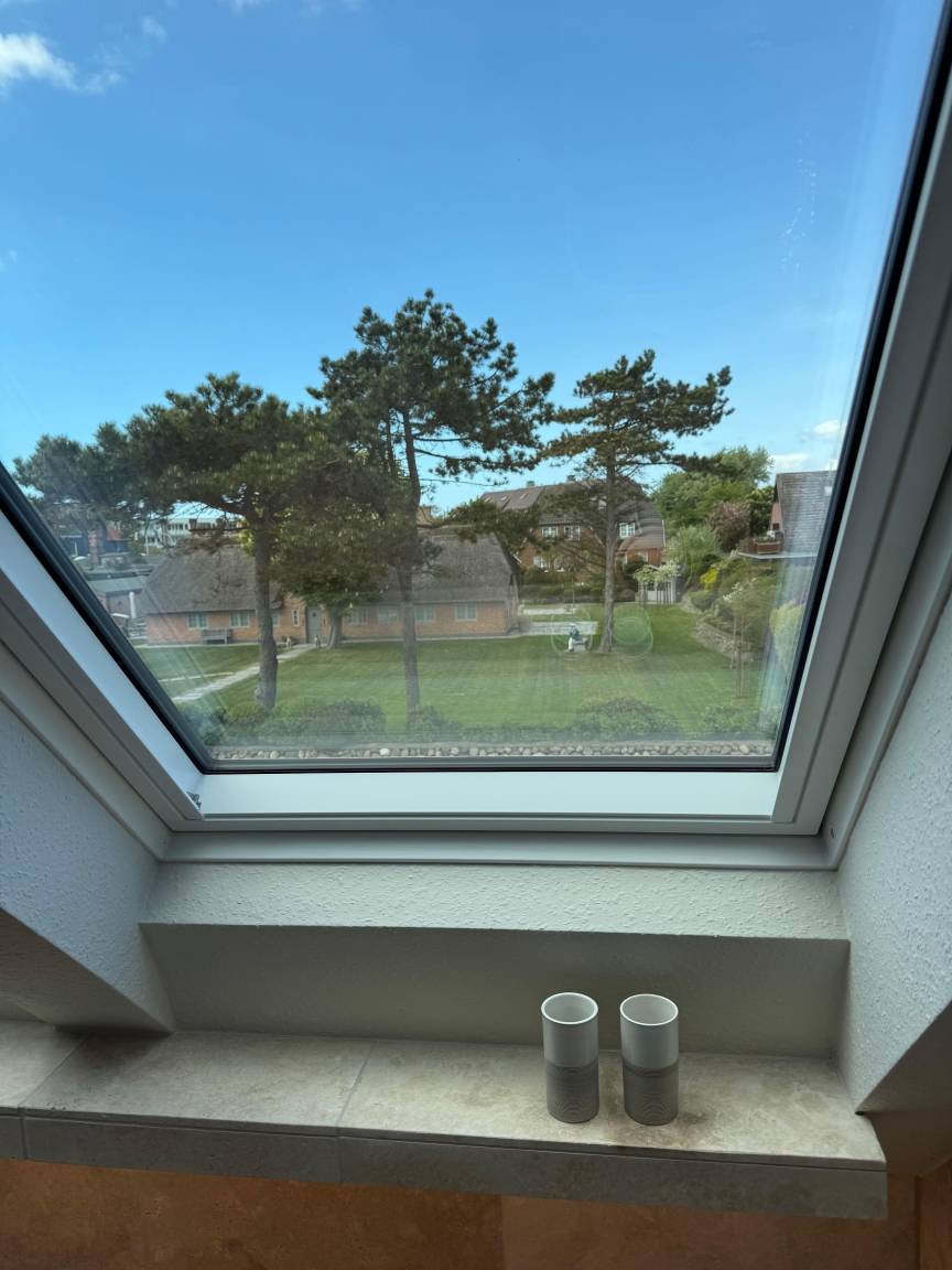 foto16