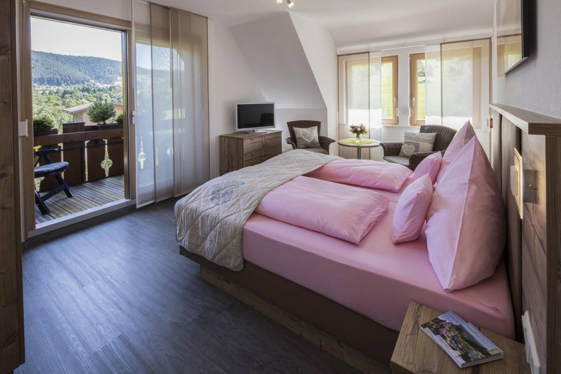 22 M² Hotel ∙ 1 Sypialnia ∙ 2 Gości - Freudenstadt