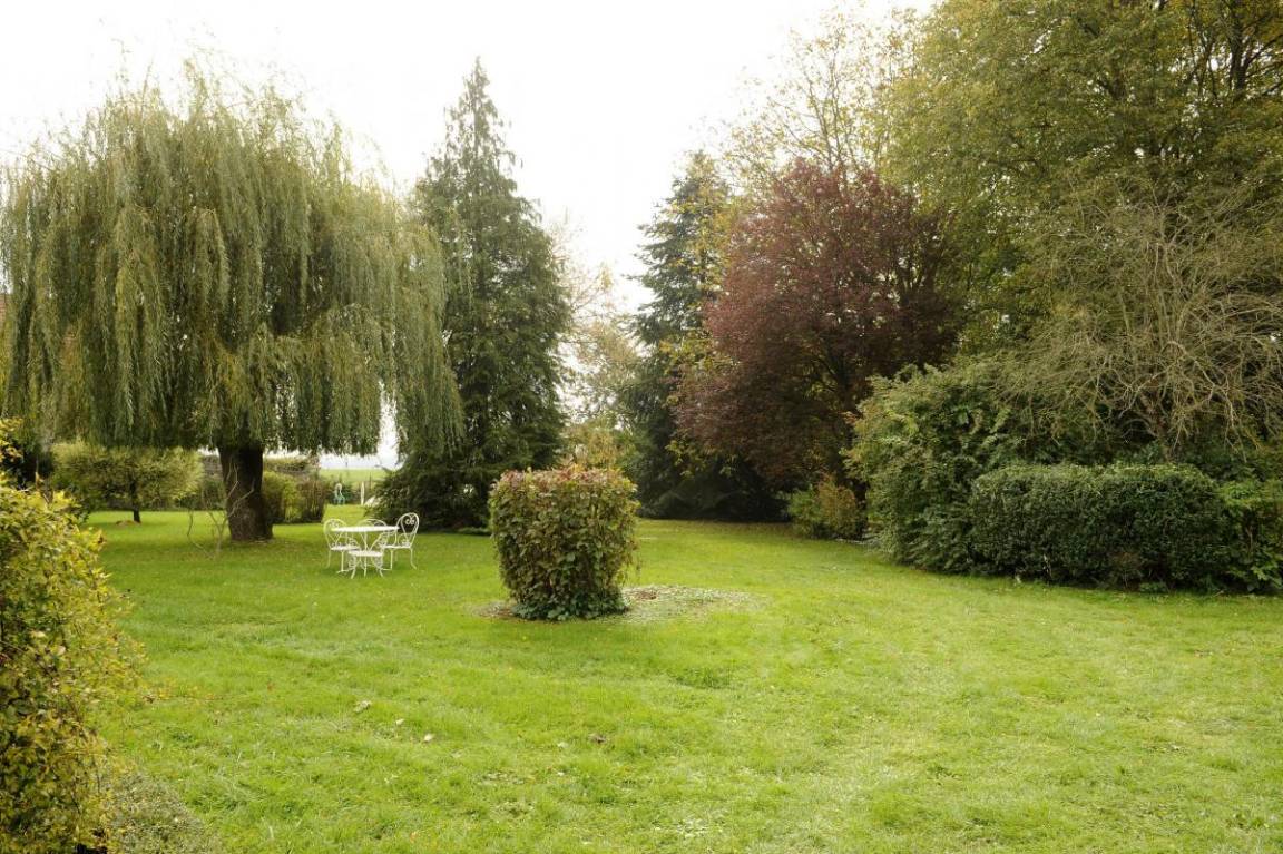 foto3
