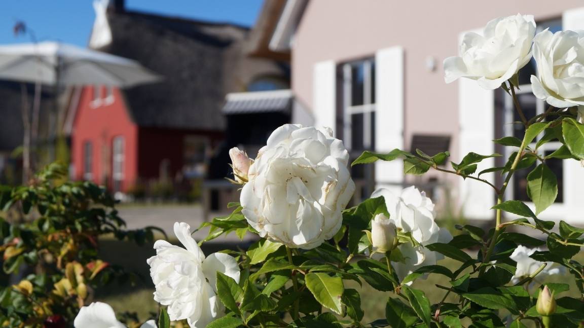 foto19