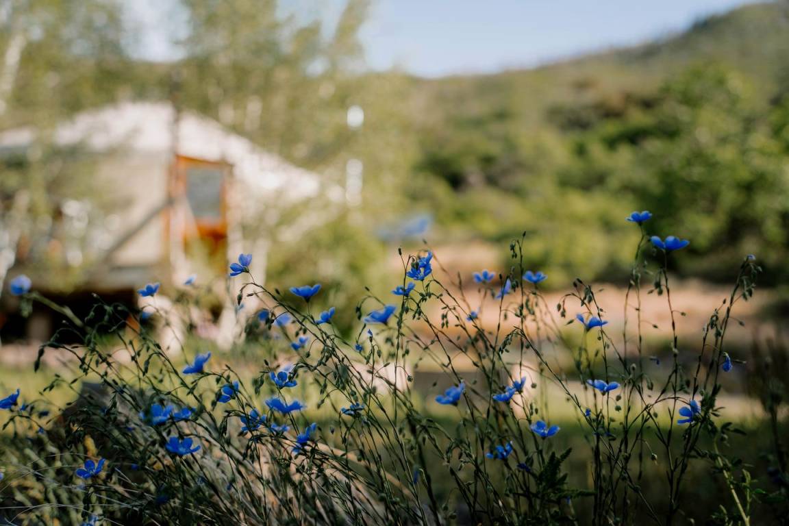 Camping ∙ 1 Bedroom ∙ 4 Guests - Colorado
