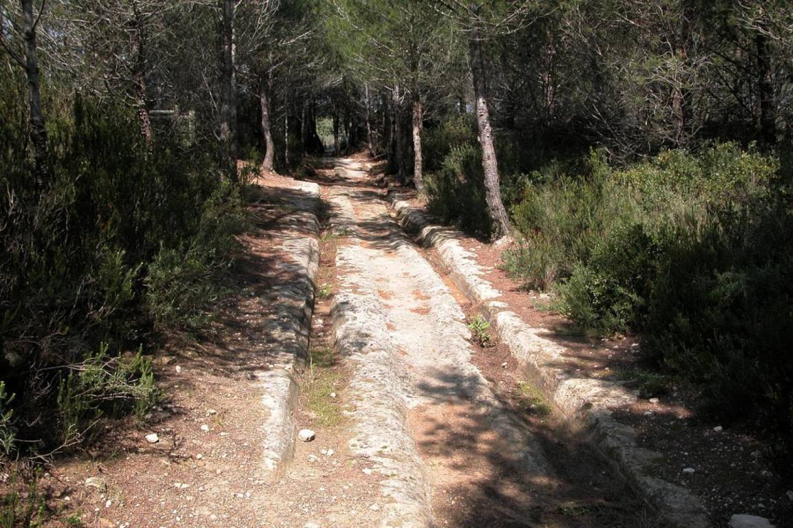 foto16