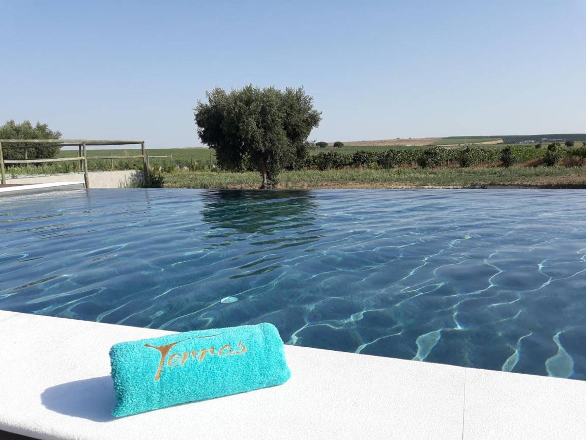 232 M² Mökki ∙ 4 Makuuhuonetta ∙ 8 Vierasta - Alentejo