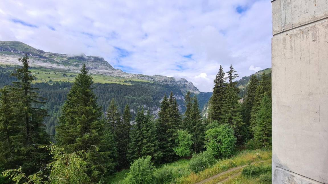 foto8