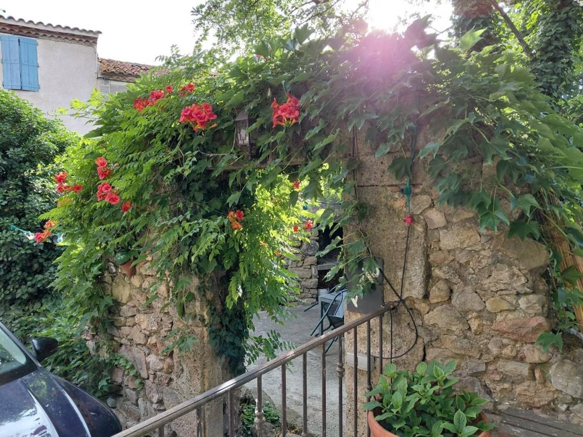 foto18