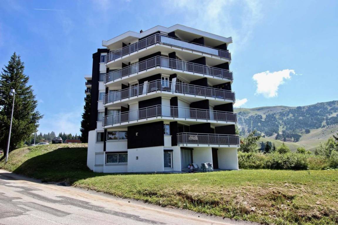 foto6