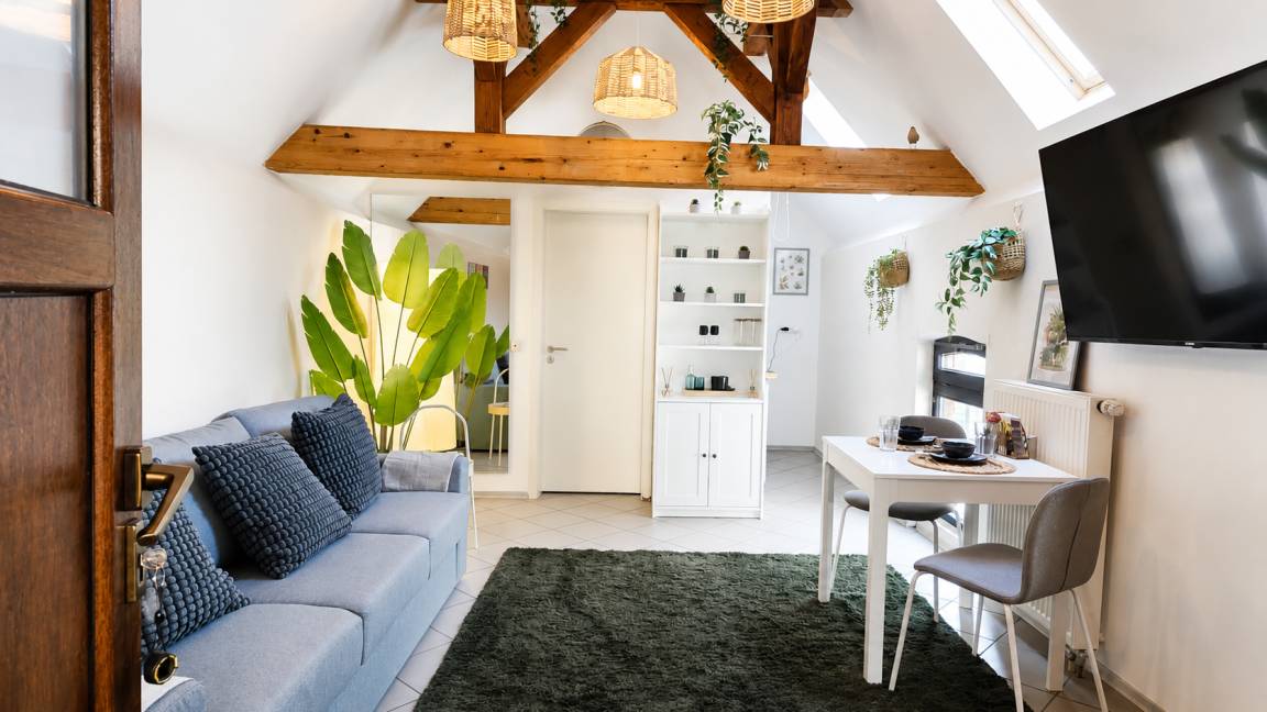 21 M² Apartment ∙ 1 Bedroom ∙ 2 Guests - Ludwigshafen