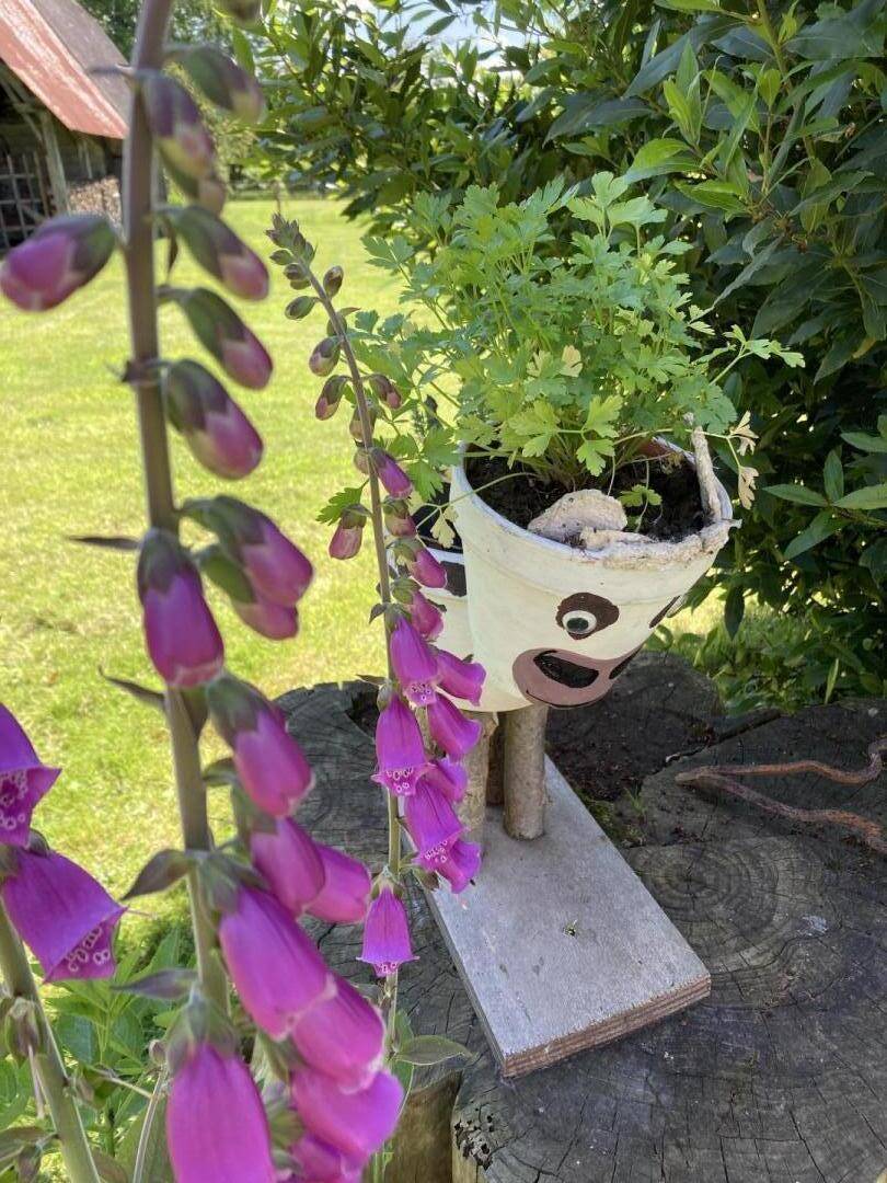 foto27
