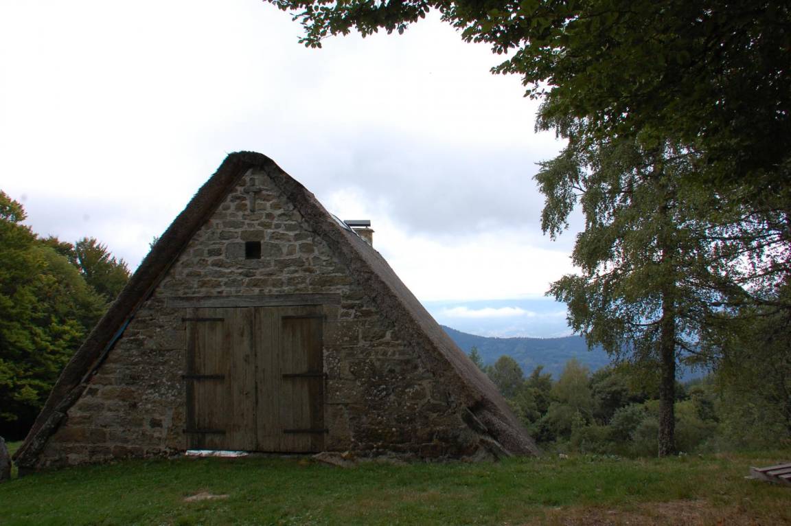 foto20