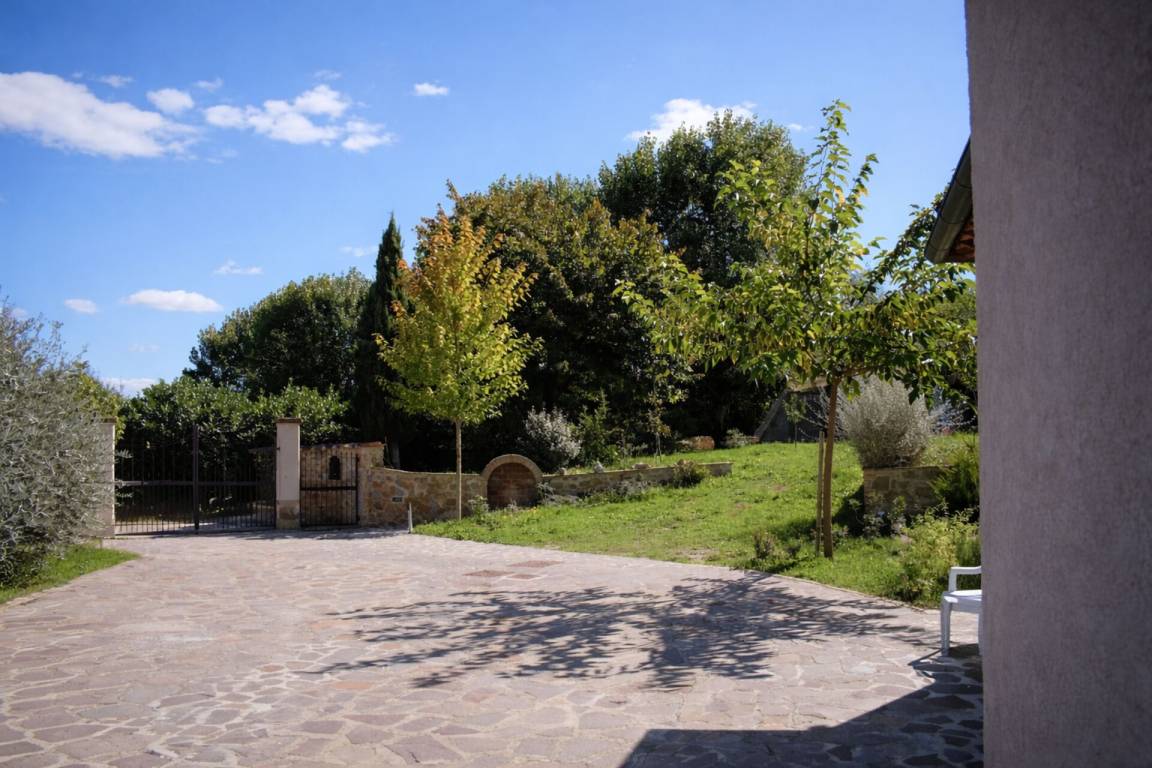 foto1