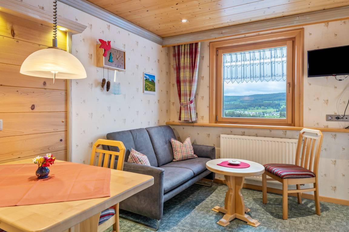 32 M² Ferienwohnung ∙ 1 Schlafzimmer ∙ 2 Gäste - Saig
