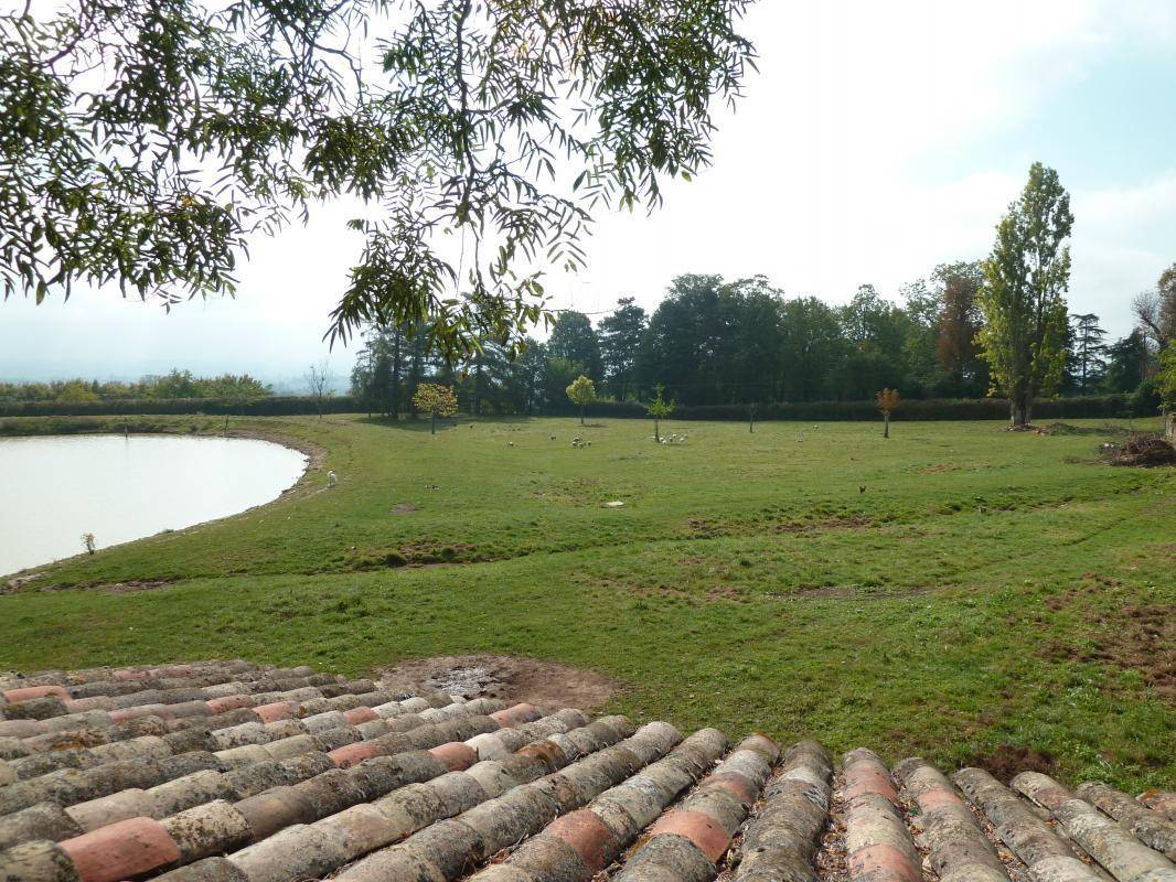 foto4