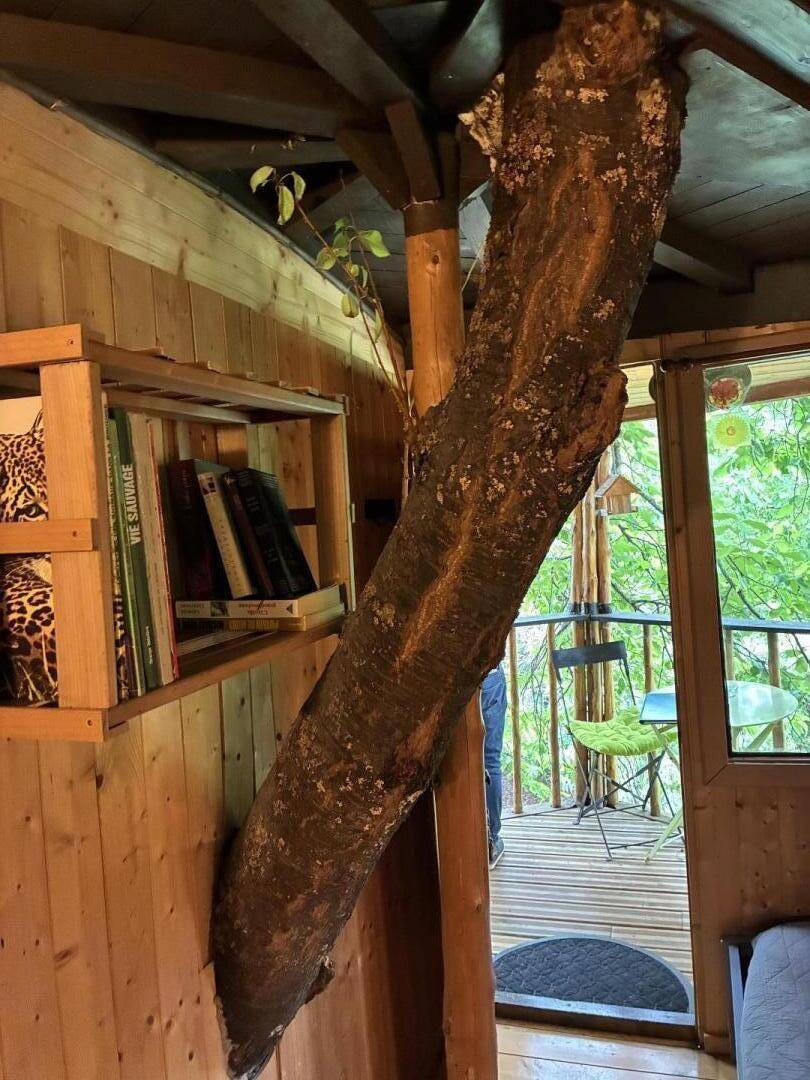 foto20