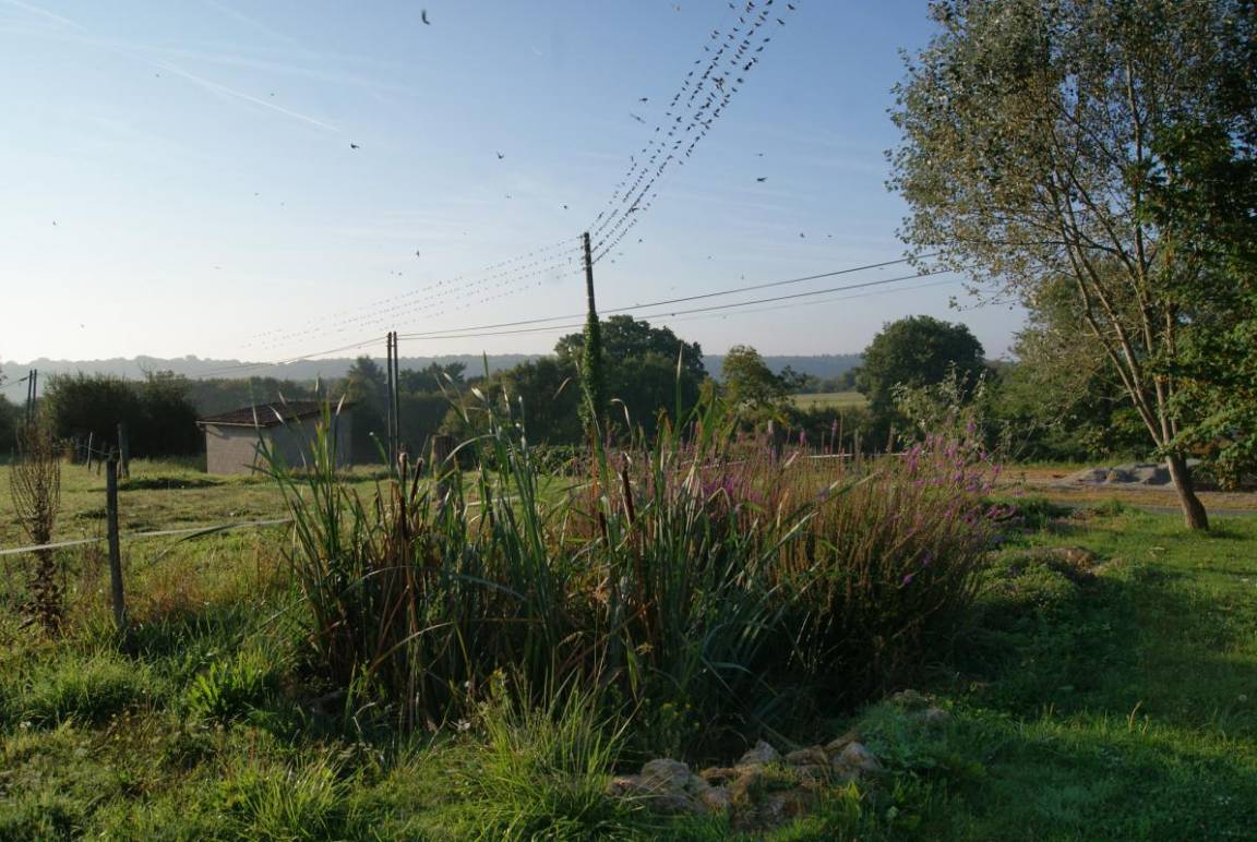 foto11