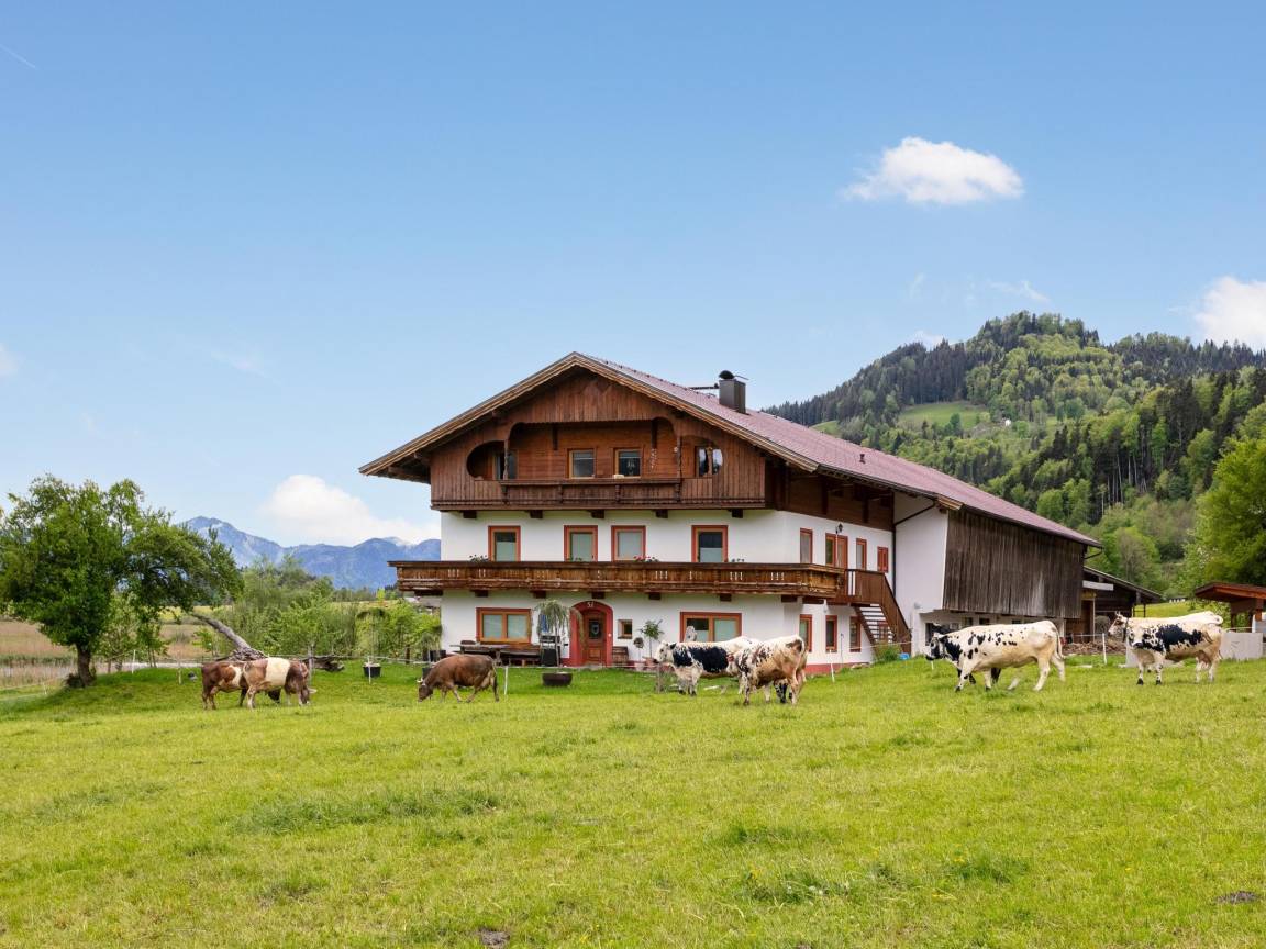 180 M² Apartment ∙ 4 Bedrooms ∙ 14 Guests - Kufstein