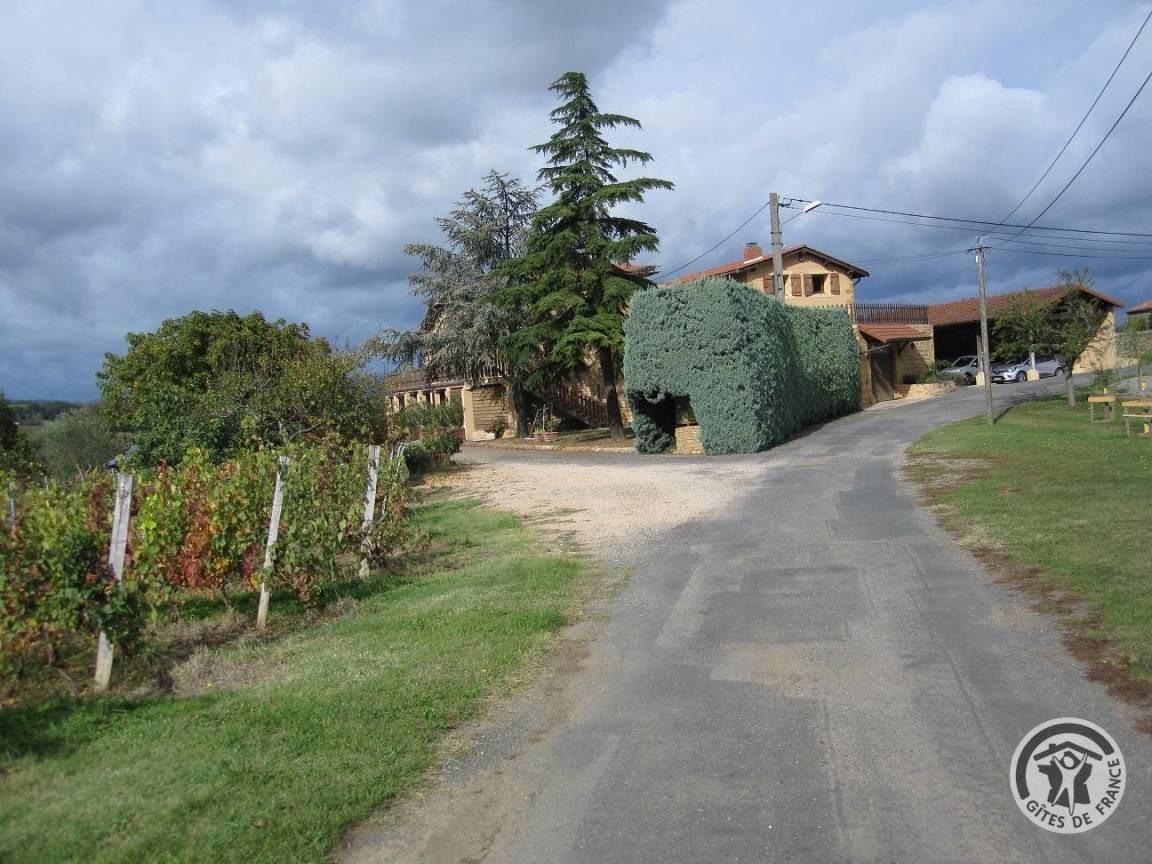 foto5