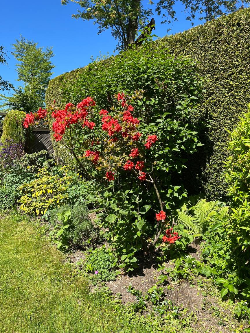 foto22