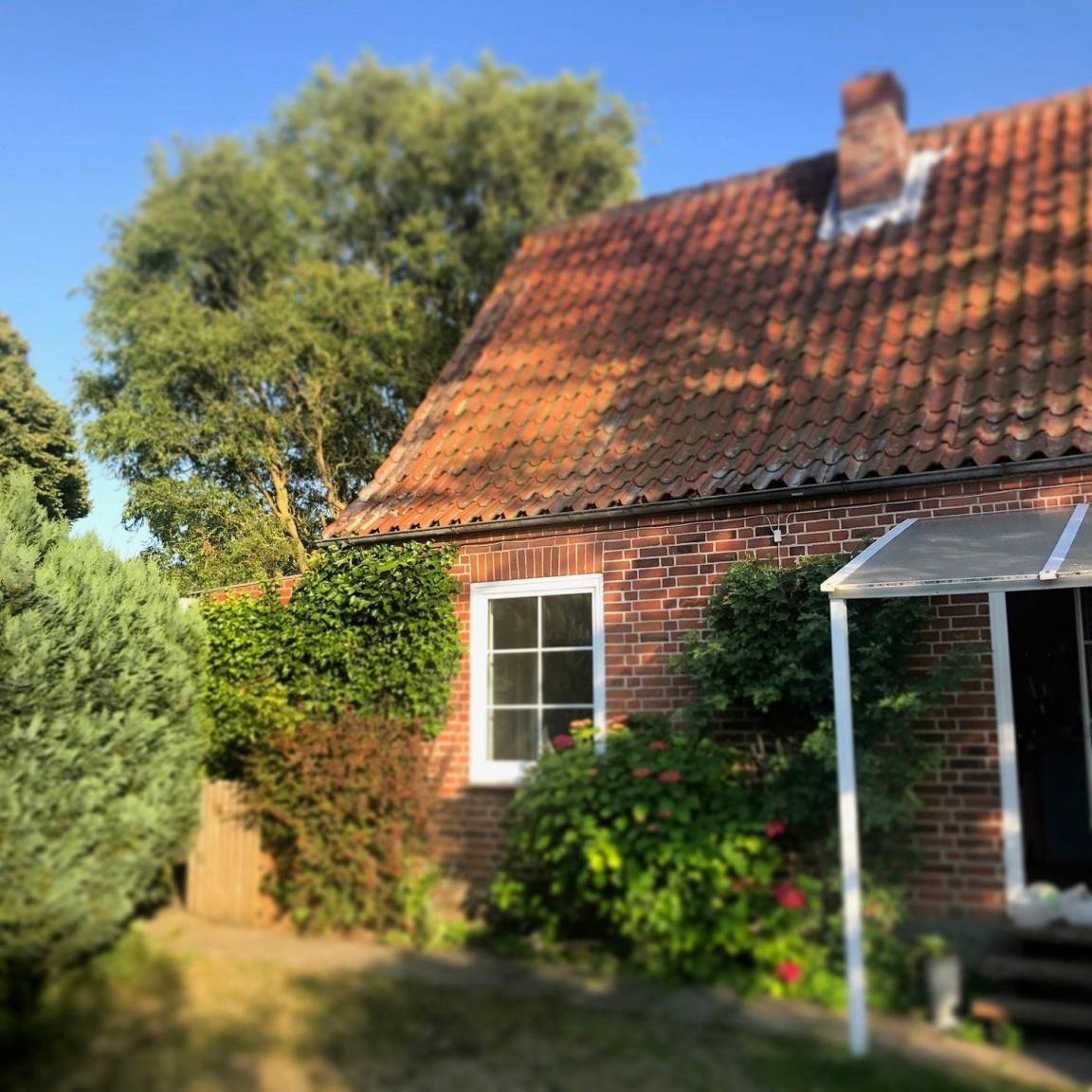 foto2