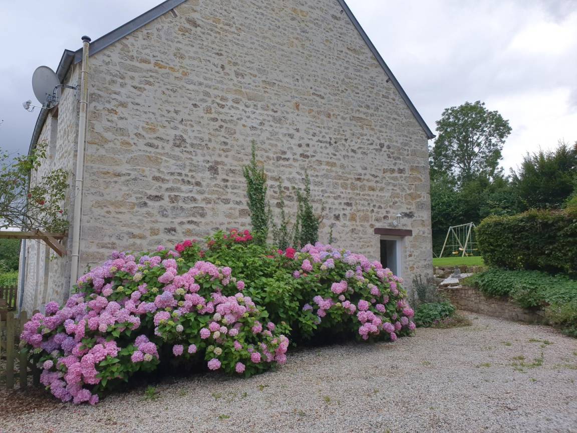 foto16