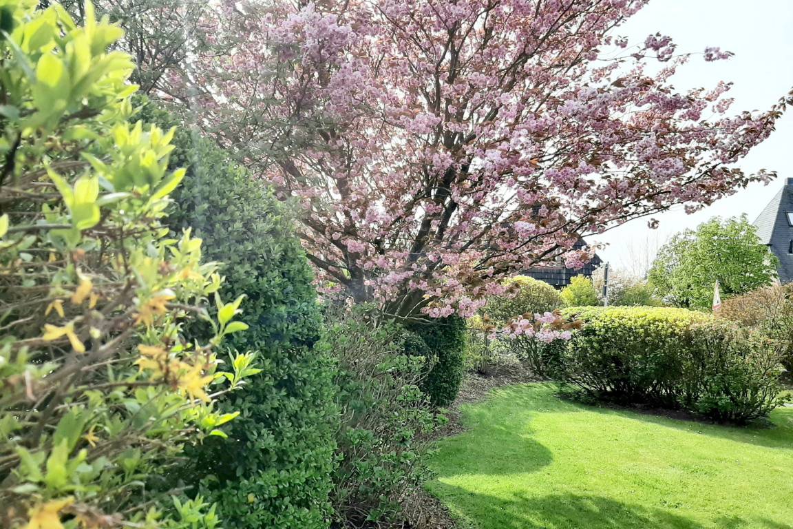foto20