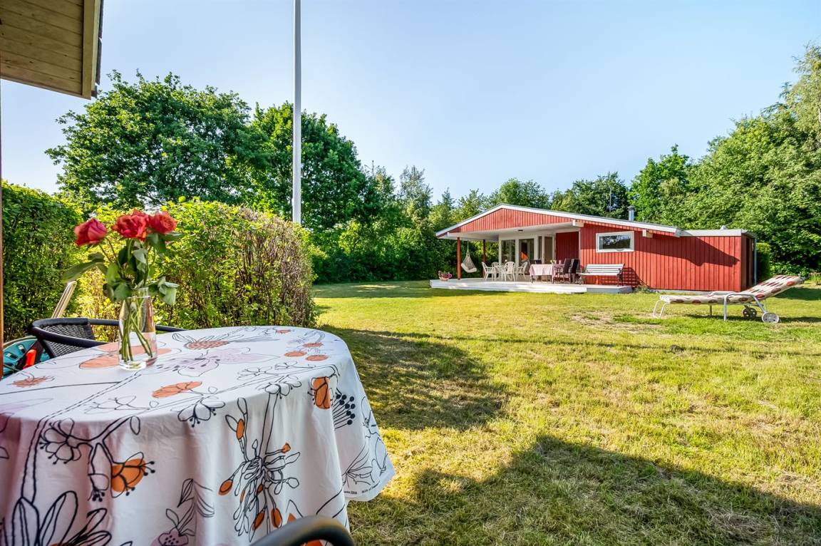 foto20